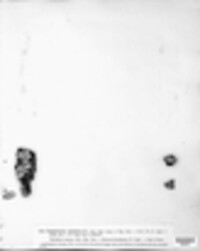 Xylobolus frustulatus image